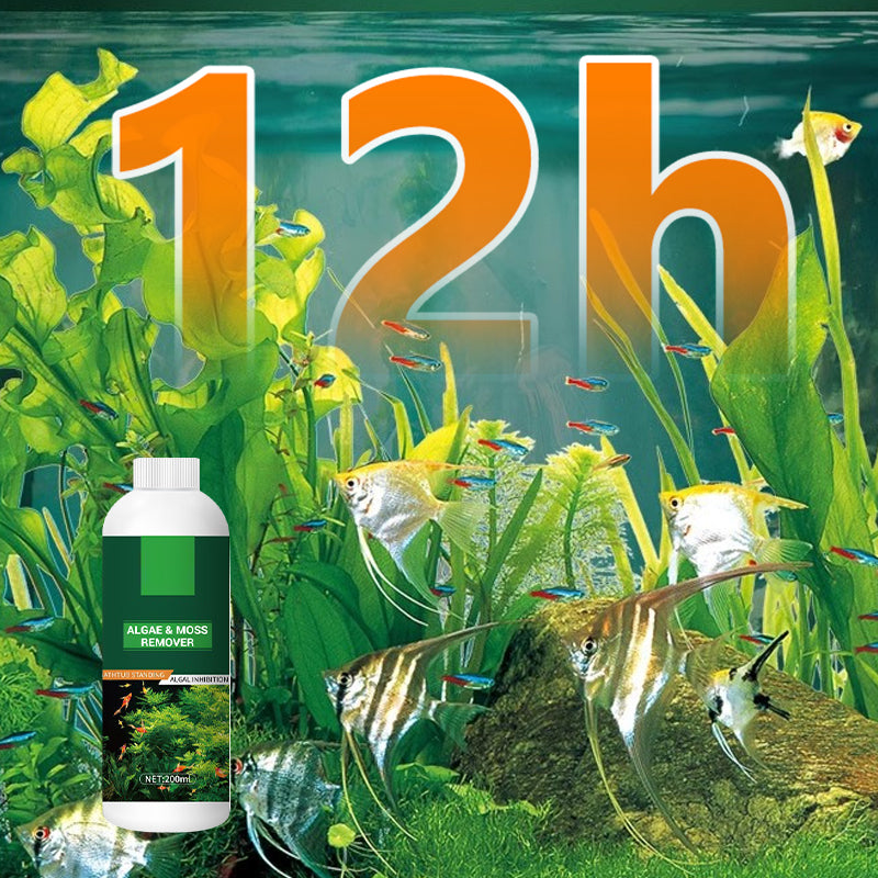Algae & Moss Remover for Fish Tank - Safe Water Purification