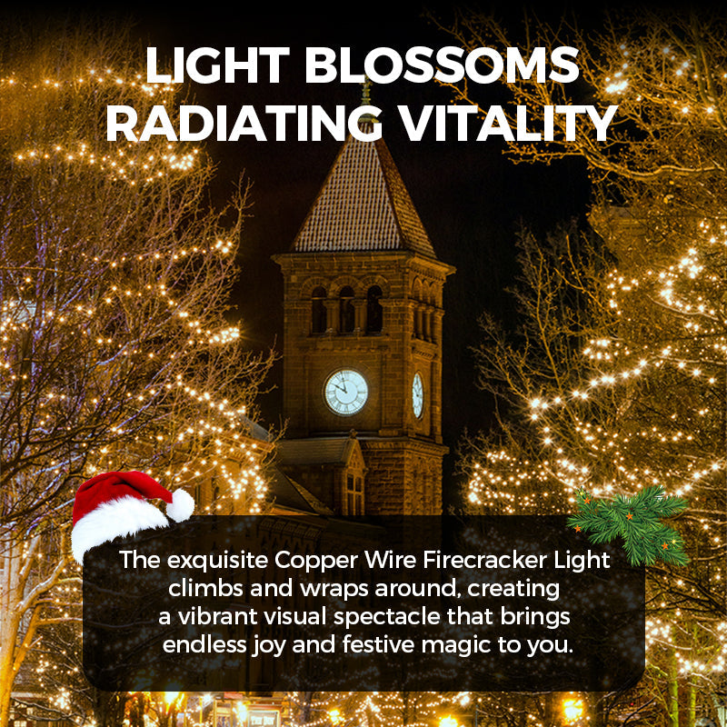 ✨✨Copper Wire Firecracker Light String