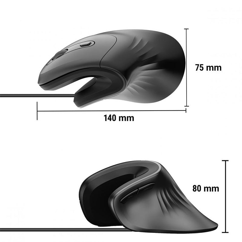 Ergonomic Low Noise Mouse