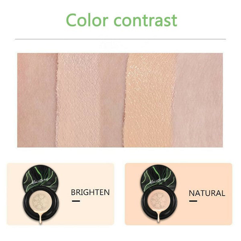 Natural Finish Coverage Powder Foundation